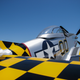 Illustration for article titled Mustang